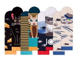 Кутия с 4 чифта чорапи Arty Socks Котки