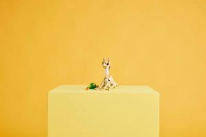 LEGO Creator Bunny - 31162