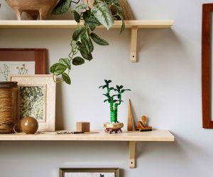 LEGO Botanicals - Lucky Bamboo, 10344