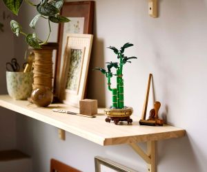 LEGO Botanicals - Lucky Bamboo, 10344